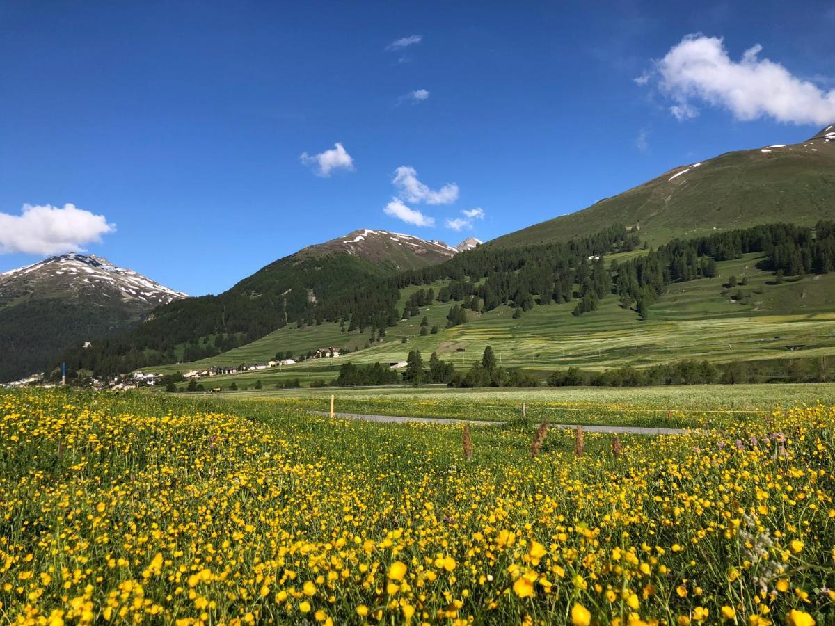 Chalet Breithorn- Perfect For Holiday With Amazing View! Obergesteln Екстериор снимка